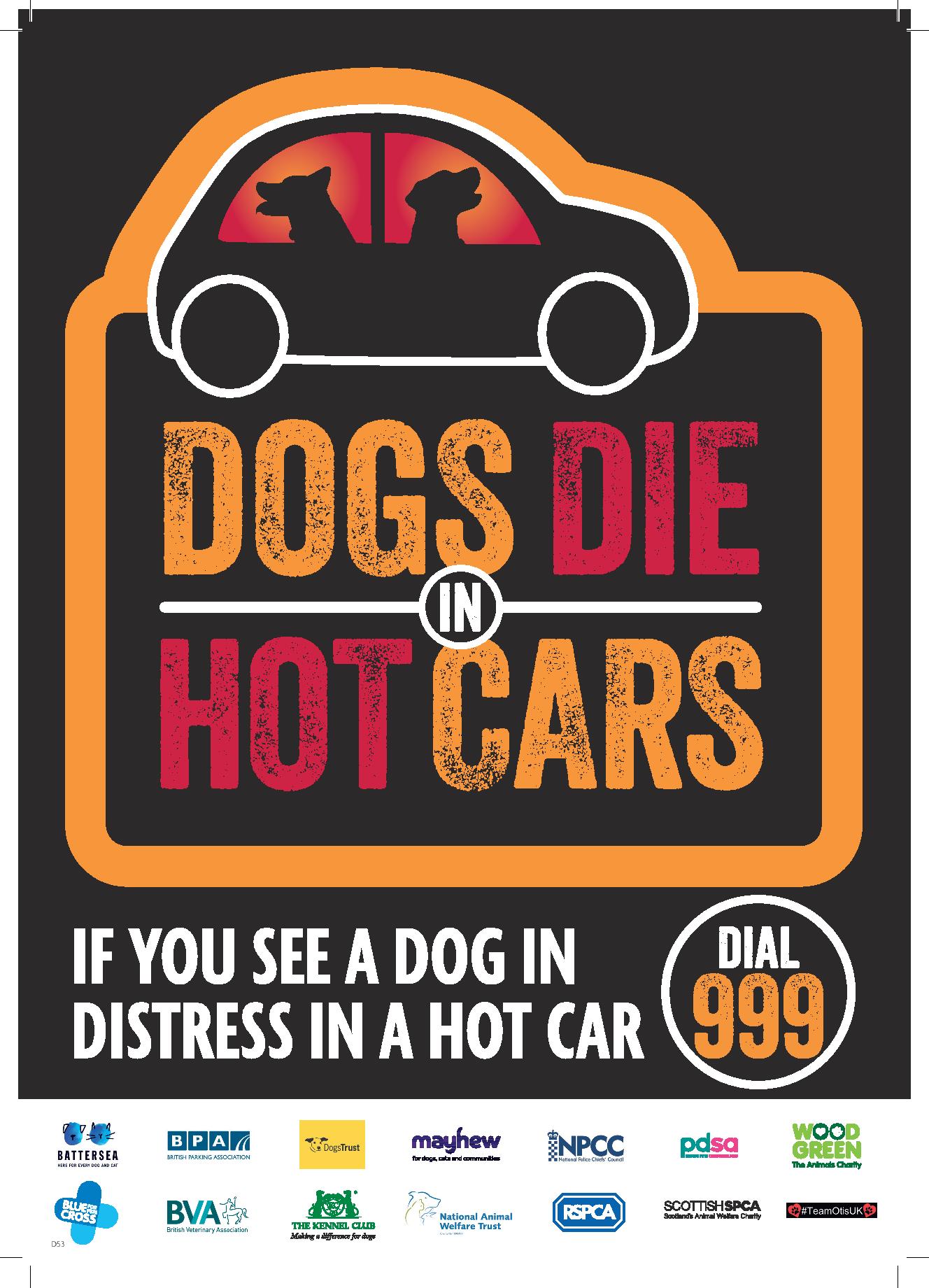 Dogs Left in Cars - holiday advice in northdevon
